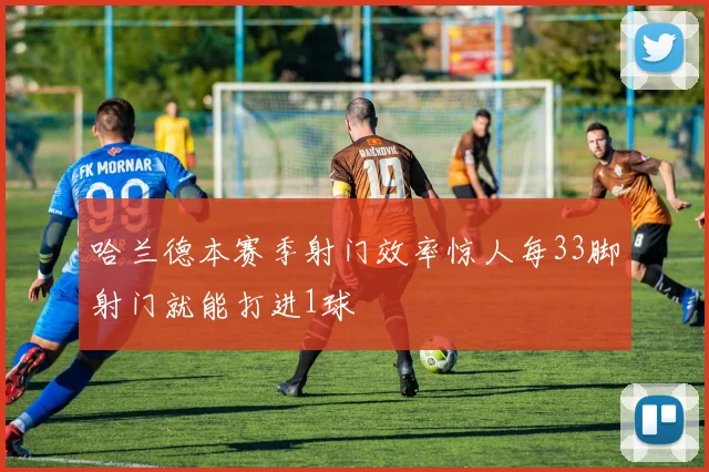 哈兰德本赛季射门效率惊人每33脚射门就能打进1球
