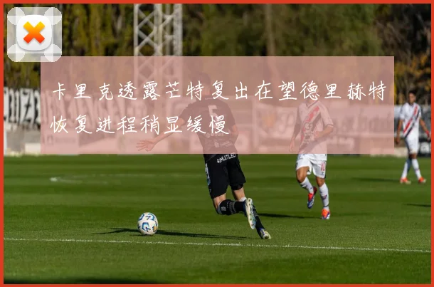 卡里克透露芒特复出在望德里赫特恢复进程稍显缓慢